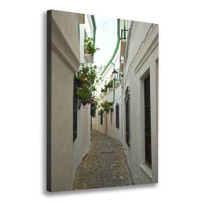 Cuadro canvas decorativo para salón vertical Las calles de Andalucía