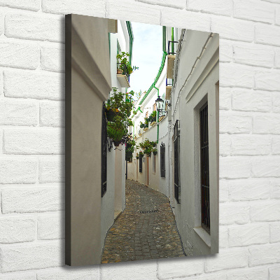 Cuadro canvas decorativo para salón vertical Las calles de Andalucía