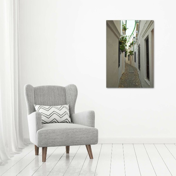 Cuadro canvas decorativo para salón vertical Las calles de Andalucía