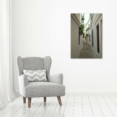 Cuadro canvas decorativo para salón vertical Las calles de Andalucía
