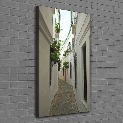 Cuadro canvas decorativo para salón vertical Las calles de Andalucía