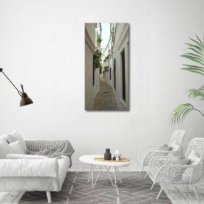 Cuadro canvas decorativo para salón vertical Las calles de Andalucía