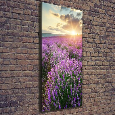 Cuadro canvas decorativo para salón vertical campo de lavanda