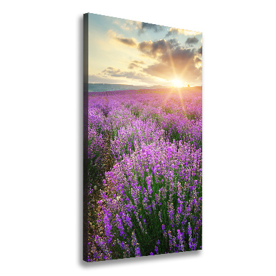 Cuadro canvas decorativo para salón vertical campo de lavanda