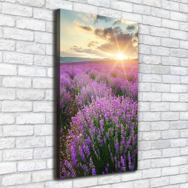 Cuadro canvas decorativo para salón vertical campo de lavanda