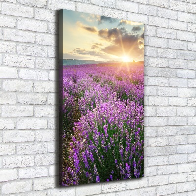 Cuadro canvas decorativo para salón vertical campo de lavanda