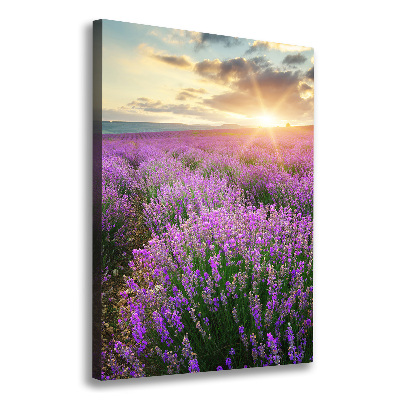 Cuadro canvas decorativo para salón vertical campo de lavanda