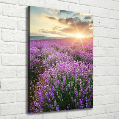 Cuadro canvas decorativo para salón vertical campo de lavanda