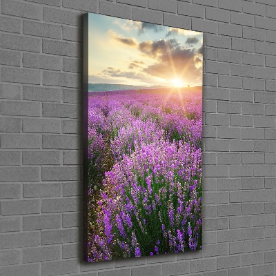 Cuadro canvas decorativo para salón vertical campo de lavanda