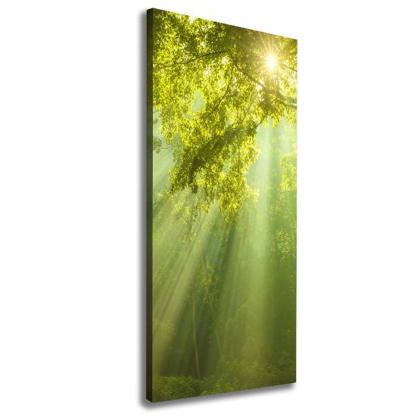 Impresión en lienzo vertical El sol en el bosque