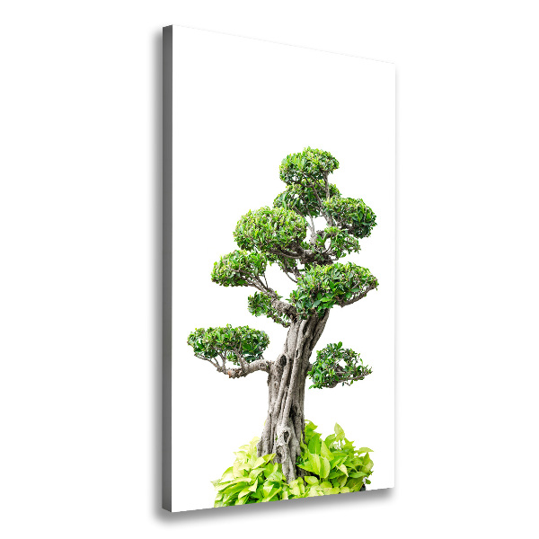 Cuadro canvas decorativo para salón vertical Árbol bonsái