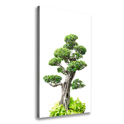 Cuadro canvas decorativo para salón vertical Árbol bonsái