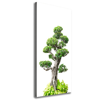 Cuadro canvas decorativo para salón vertical Árbol bonsái