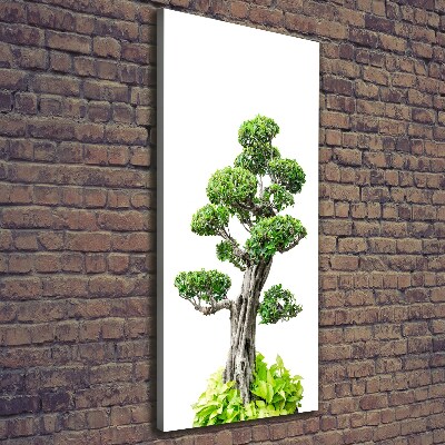 Cuadro canvas decorativo para salón vertical Árbol bonsái