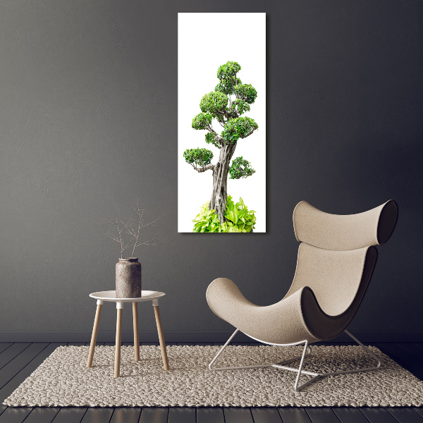Cuadro canvas decorativo para salón vertical Árbol bonsái
