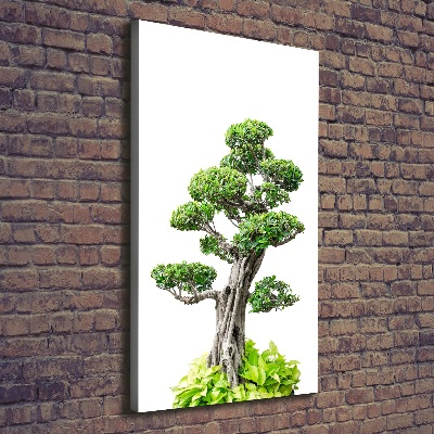 Cuadro canvas decorativo para salón vertical Árbol bonsái