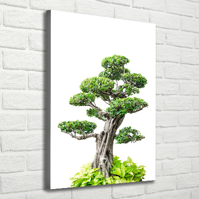Cuadro canvas decorativo para salón vertical Árbol bonsái