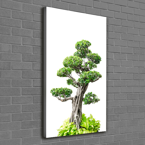 Cuadro canvas decorativo para salón vertical Árbol bonsái