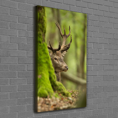 Impresión en lienzo vertical Ciervo