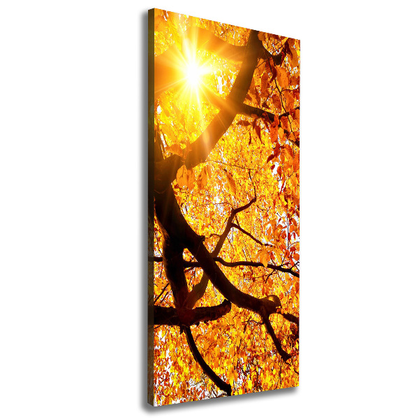 Fotografía en lienzo vertical Árbol de otoño