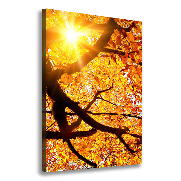 Fotografía en lienzo vertical Árbol de otoño
