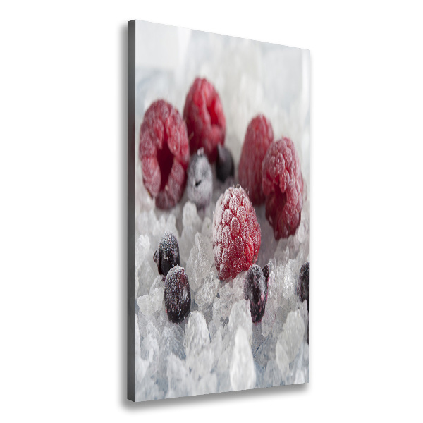 Cuadro canvas decorativo para salón vertical Fruta congelada