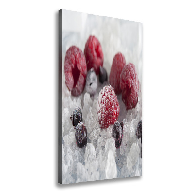 Cuadro canvas decorativo para salón vertical Fruta congelada