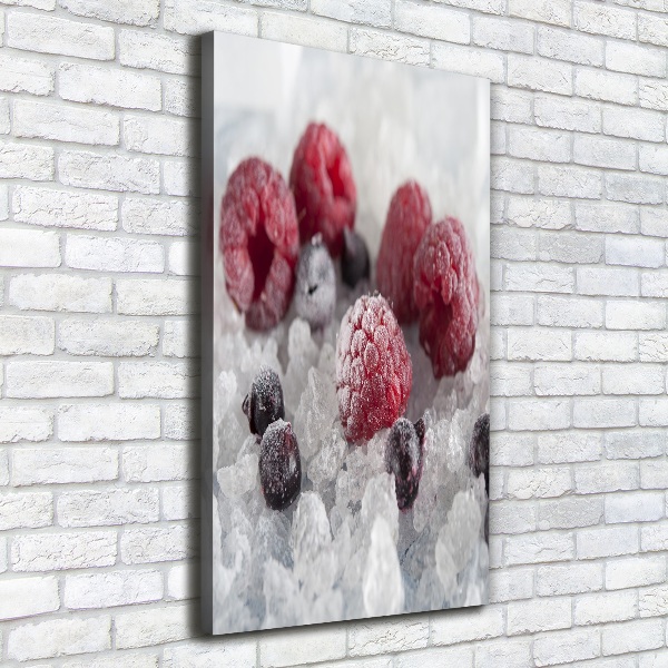 Cuadro canvas decorativo para salón vertical Fruta congelada