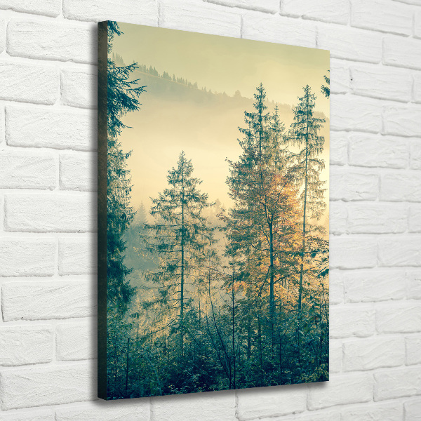 Fotografía en lienzo vertical Niebla sobre el bosque