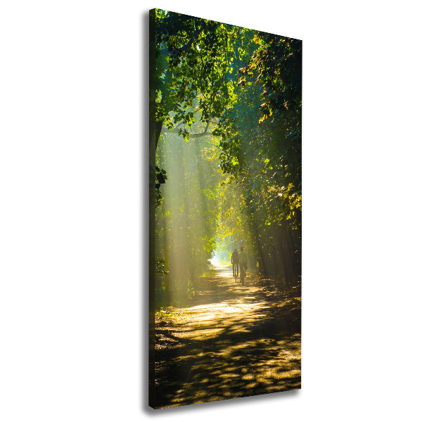 Cuadro canvas decorativo para salón vertical Camino en el bosque