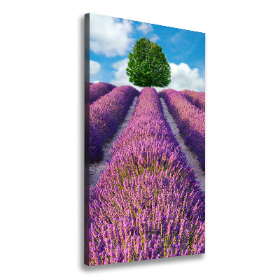 Impresión en lienzo vertical campo de lavanda