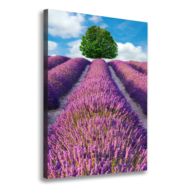 Impresión en lienzo vertical campo de lavanda