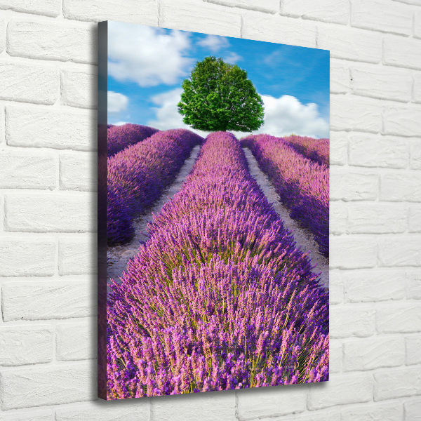 Impresión en lienzo vertical campo de lavanda