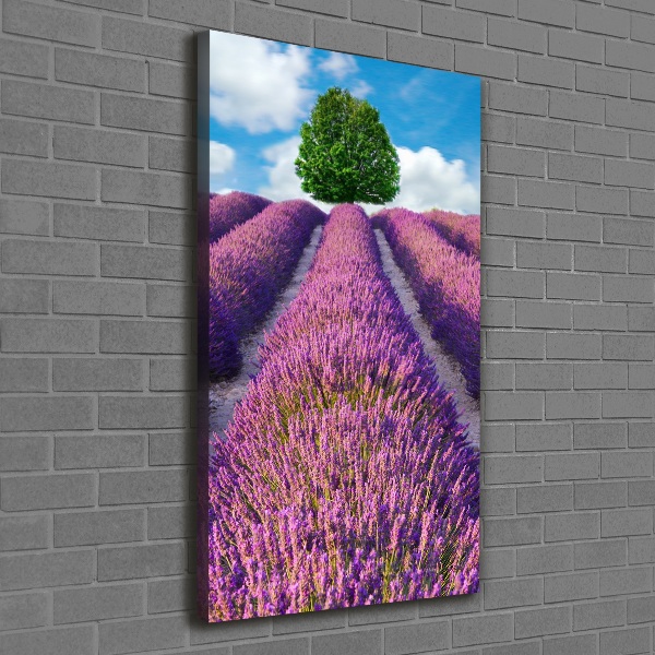 Impresión en lienzo vertical campo de lavanda