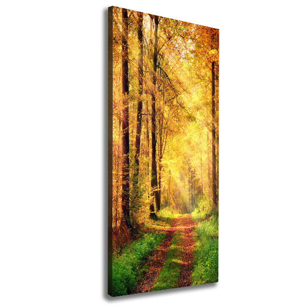 Fotografía en lienzo vertical Bosque en otoño