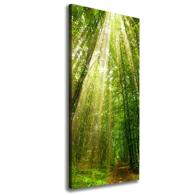 Cuadro canvas decorativo para salón vertical Camino en el bosque
