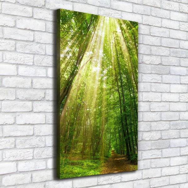 Cuadro canvas decorativo para salón vertical Camino en el bosque