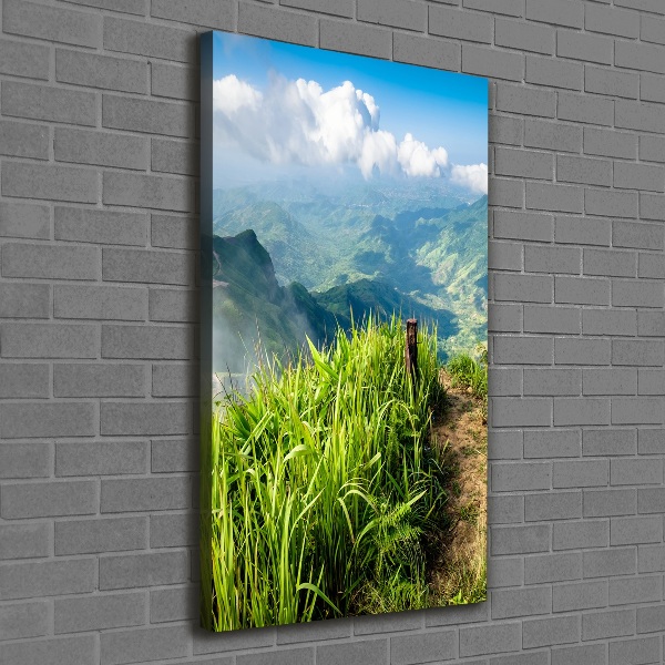 Foto obraz canvas pionowy Górski szlak