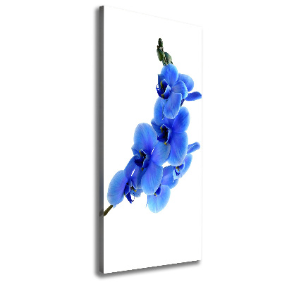 Cuadro moderno en lienzo resistente uv vertical Orquídea azul