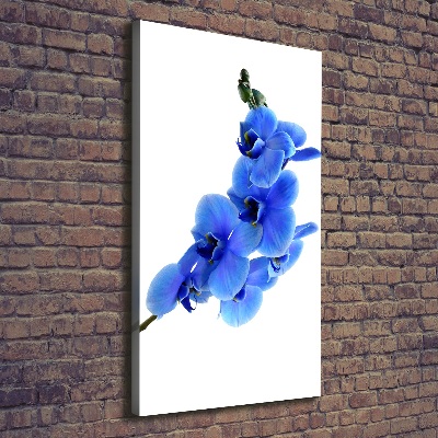 Cuadro moderno en lienzo resistente uv vertical Orquídea azul