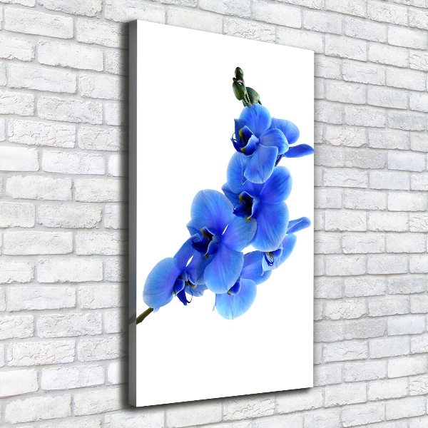 Cuadro moderno en lienzo resistente uv vertical Orquídea azul