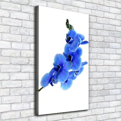 Cuadro moderno en lienzo resistente uv vertical Orquídea azul