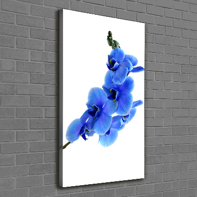 Cuadro moderno en lienzo resistente uv vertical Orquídea azul