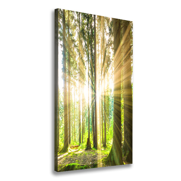 Fotografía en lienzo vertical El sol en el bosque