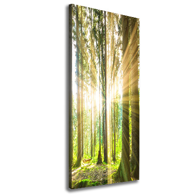 Fotografía en lienzo vertical El sol en el bosque