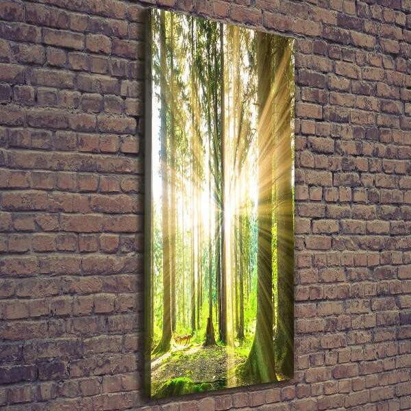 Fotografía en lienzo vertical El sol en el bosque
