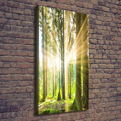 Fotografía en lienzo vertical El sol en el bosque