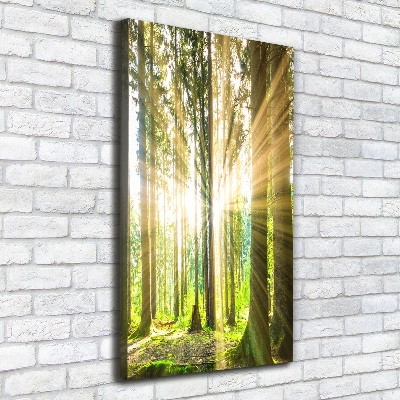 Fotografía en lienzo vertical El sol en el bosque