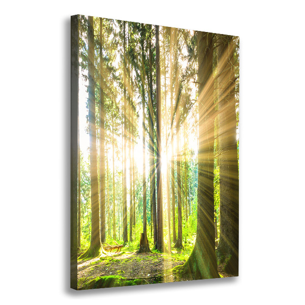 Fotografía en lienzo vertical El sol en el bosque