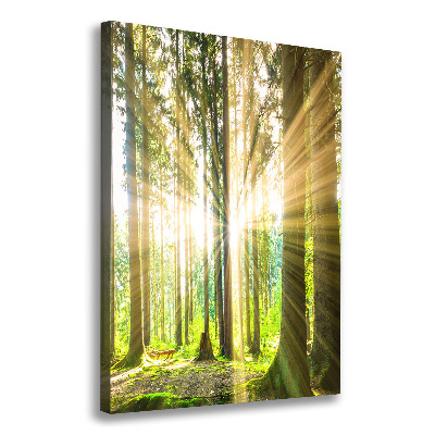 Fotografía en lienzo vertical El sol en el bosque